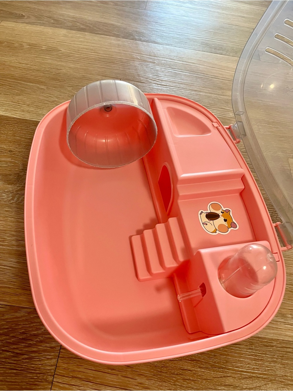 Small hamster Habitat with Water Bottle, exercise ball and bedding